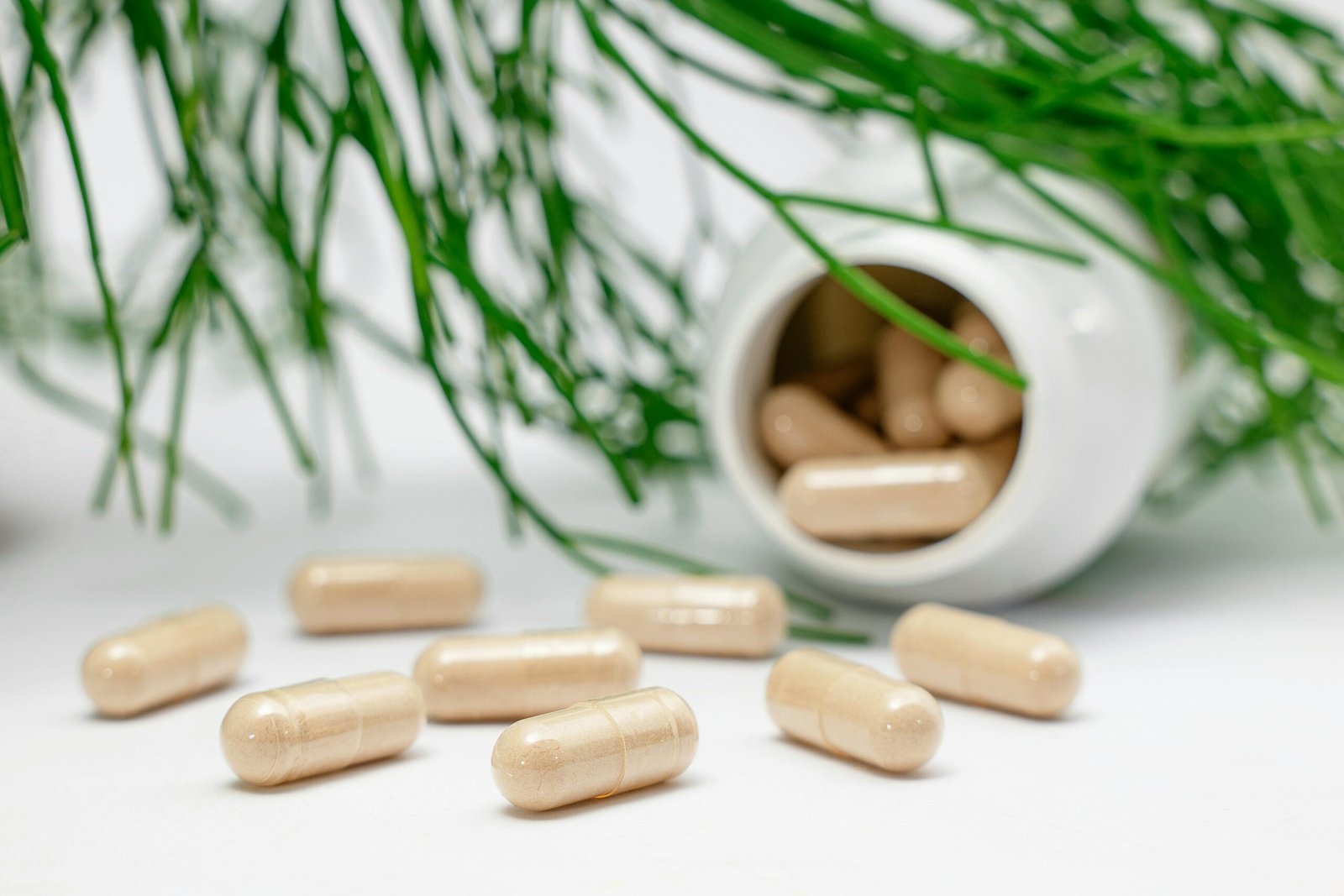 Vitaliteit & prestaties